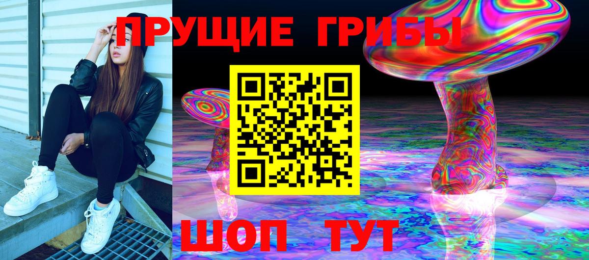 Псилоцибиновые грибы Cubensis  Вход с VPN  Сатка 